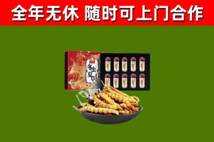 奉新县回收冬虫夏草价格